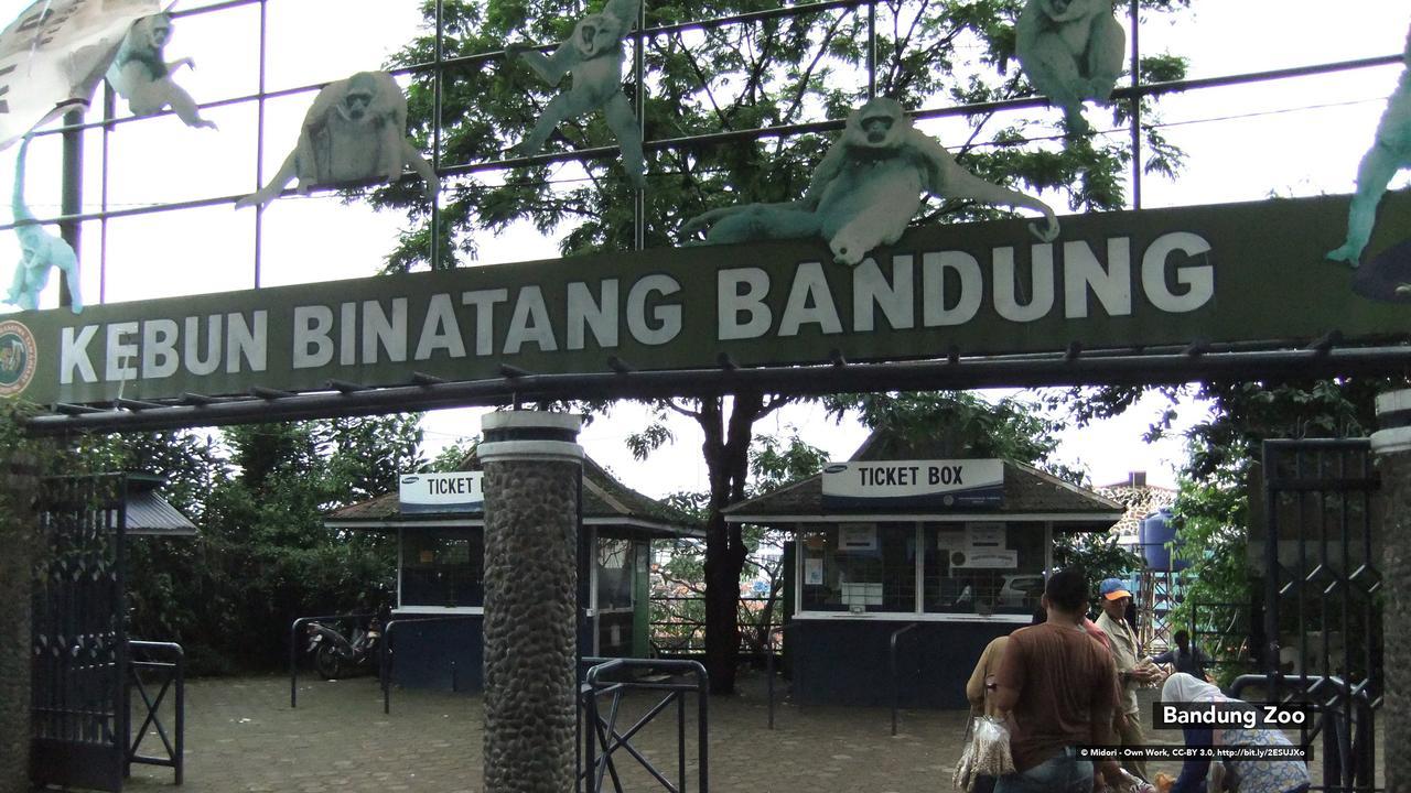 Zen Rooms Mundinglaya Dago Bandung Bagian luar foto
